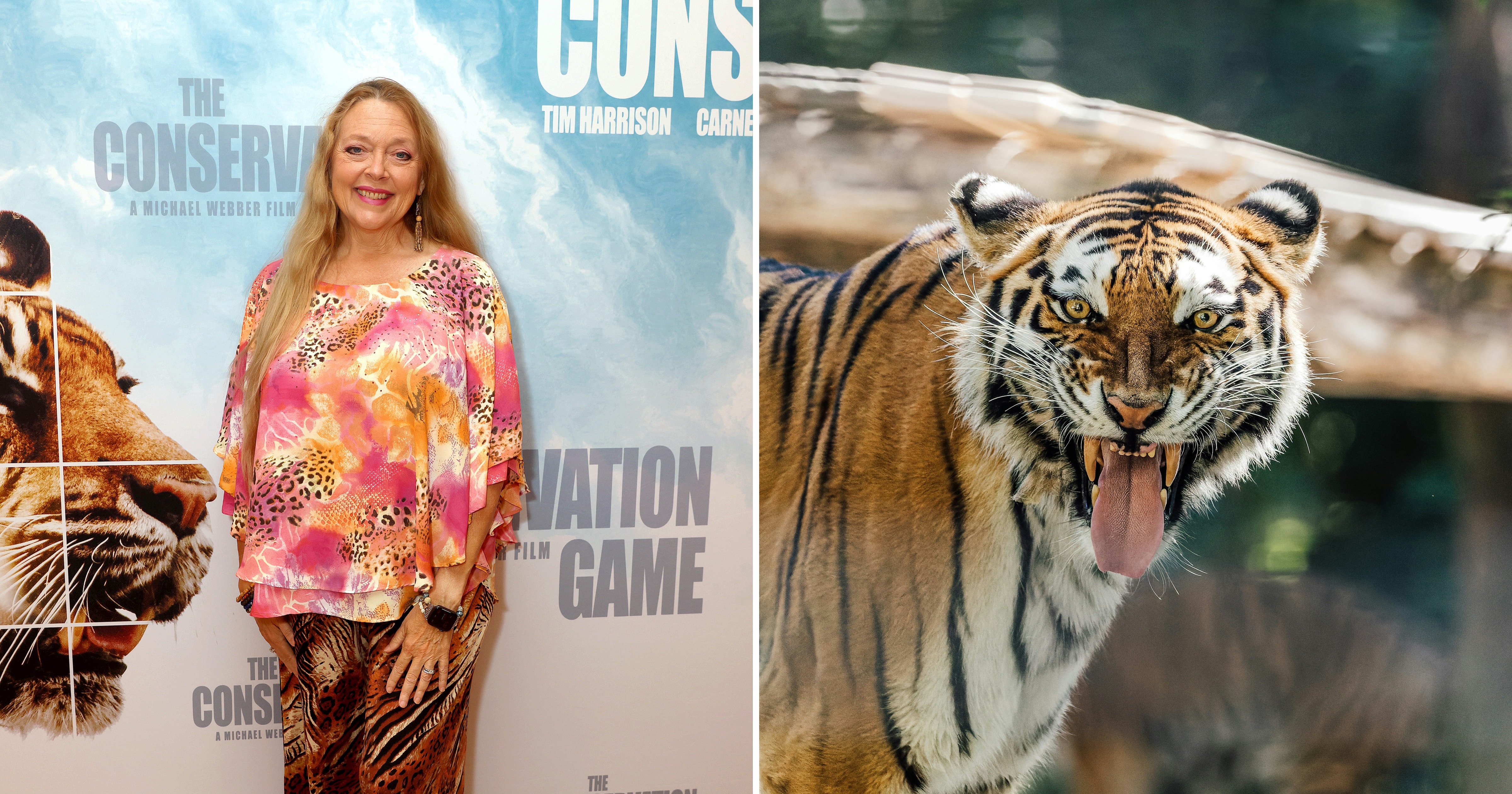 Carole Baskin on the Tiger That Killed a Man at a Wildlife Park: “The Tiger Was Not Doing Anything Wrong by Being a Tiger.”