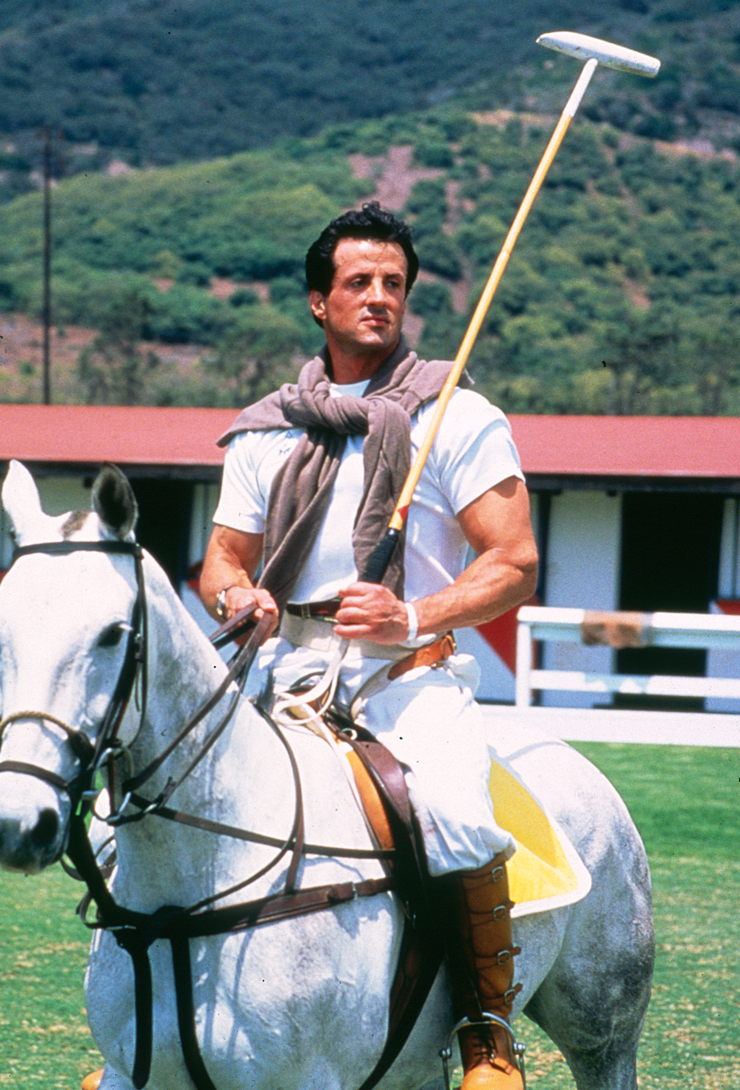 Sylvester Stallone